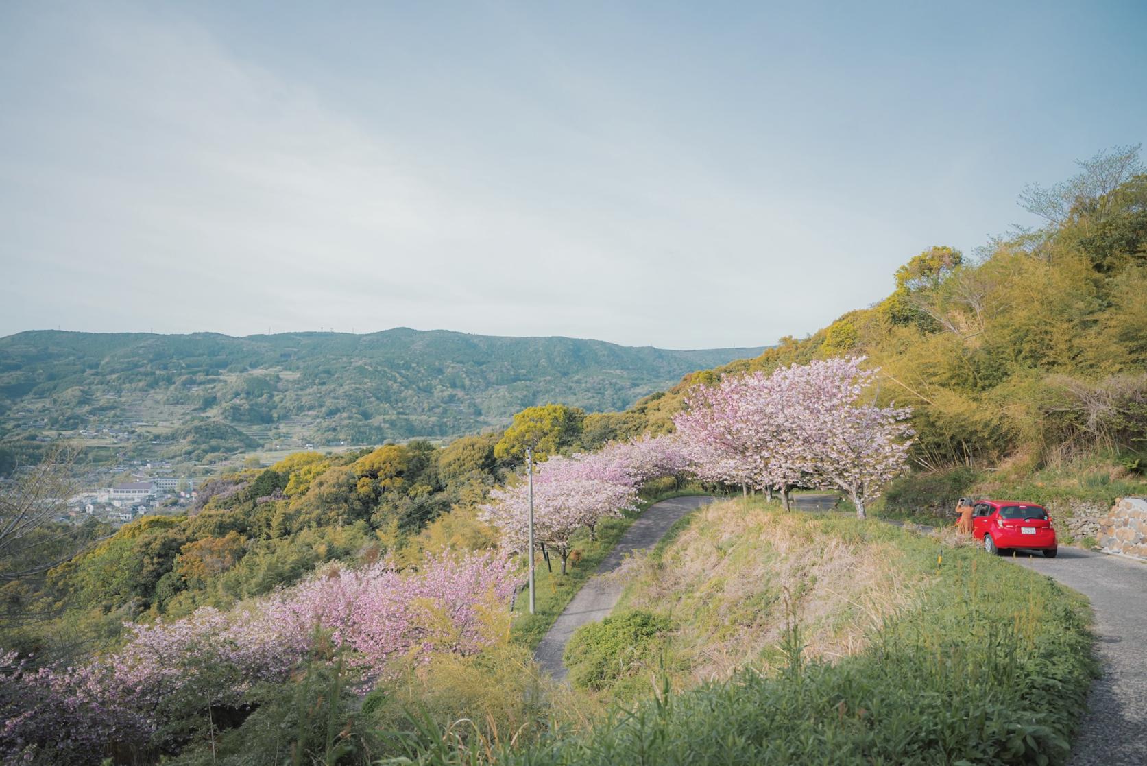 遅咲きの八重桜と絶景が楽しめる高台の花見スポット【柚木ふれあいの森公園】-0