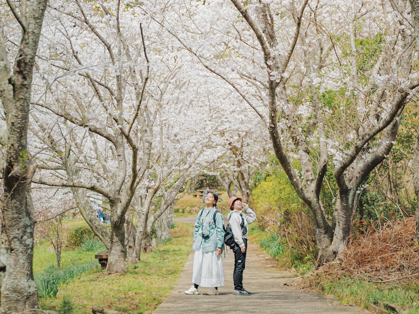 桜の下でピクニック！九十九島ビューも楽しめる【花の森公園】-0