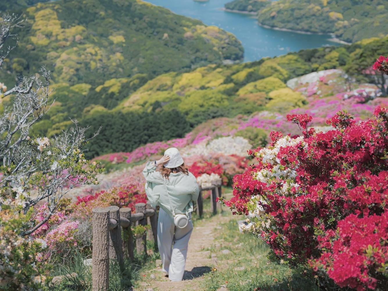 約10万本のツツジ×北九十九島の絶景！サンセットも堪能【長串山公園】-0