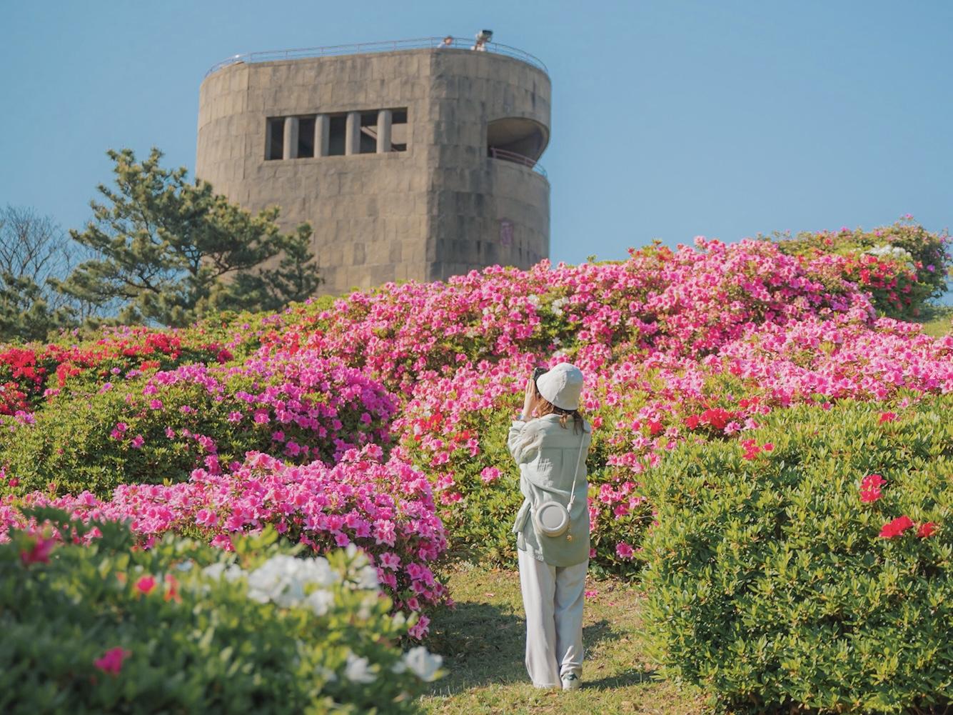 知る人ぞ知るツツジの名所×“穴場の絶景”【冷水岳公園】-0