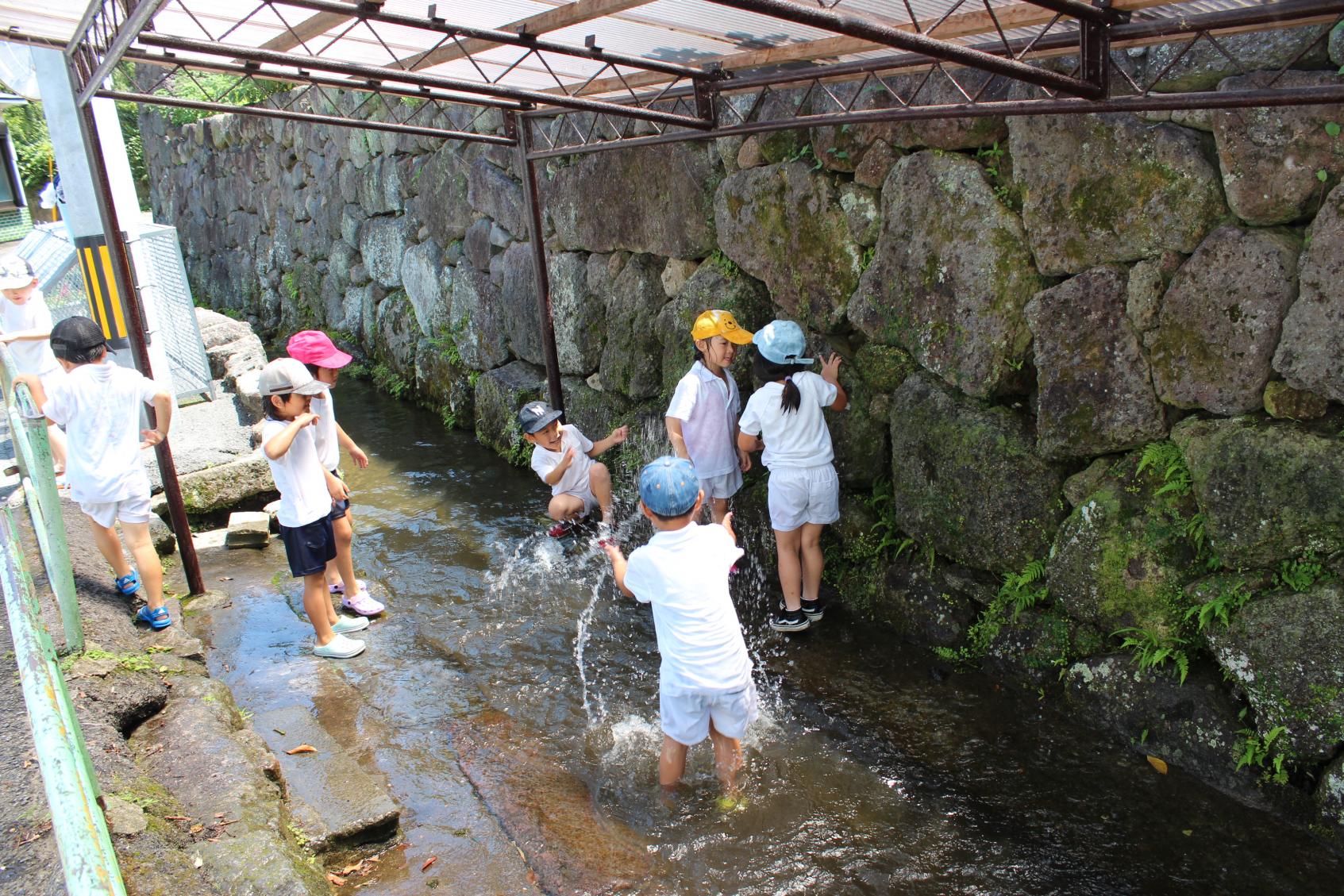 上の川湧水-0