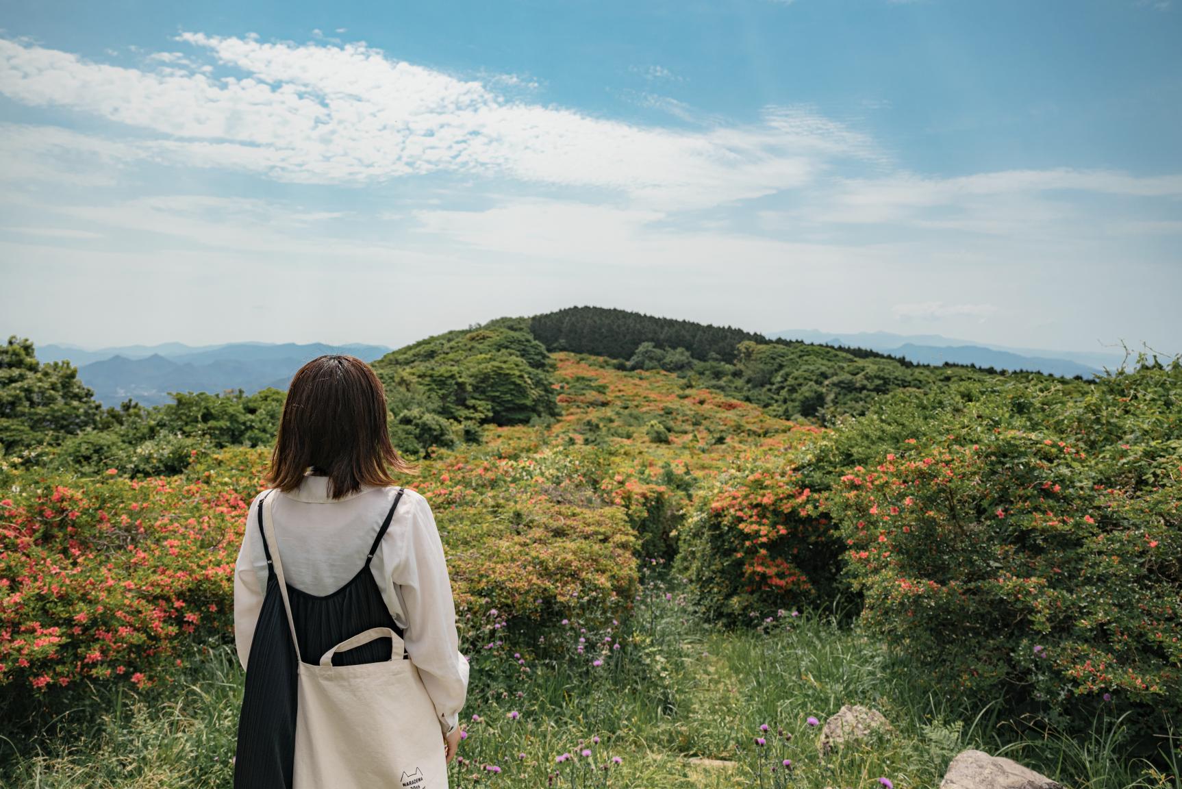 緑の山に映える！ヤマツツジと絶景を楽しむ【隠居岳公園】-2