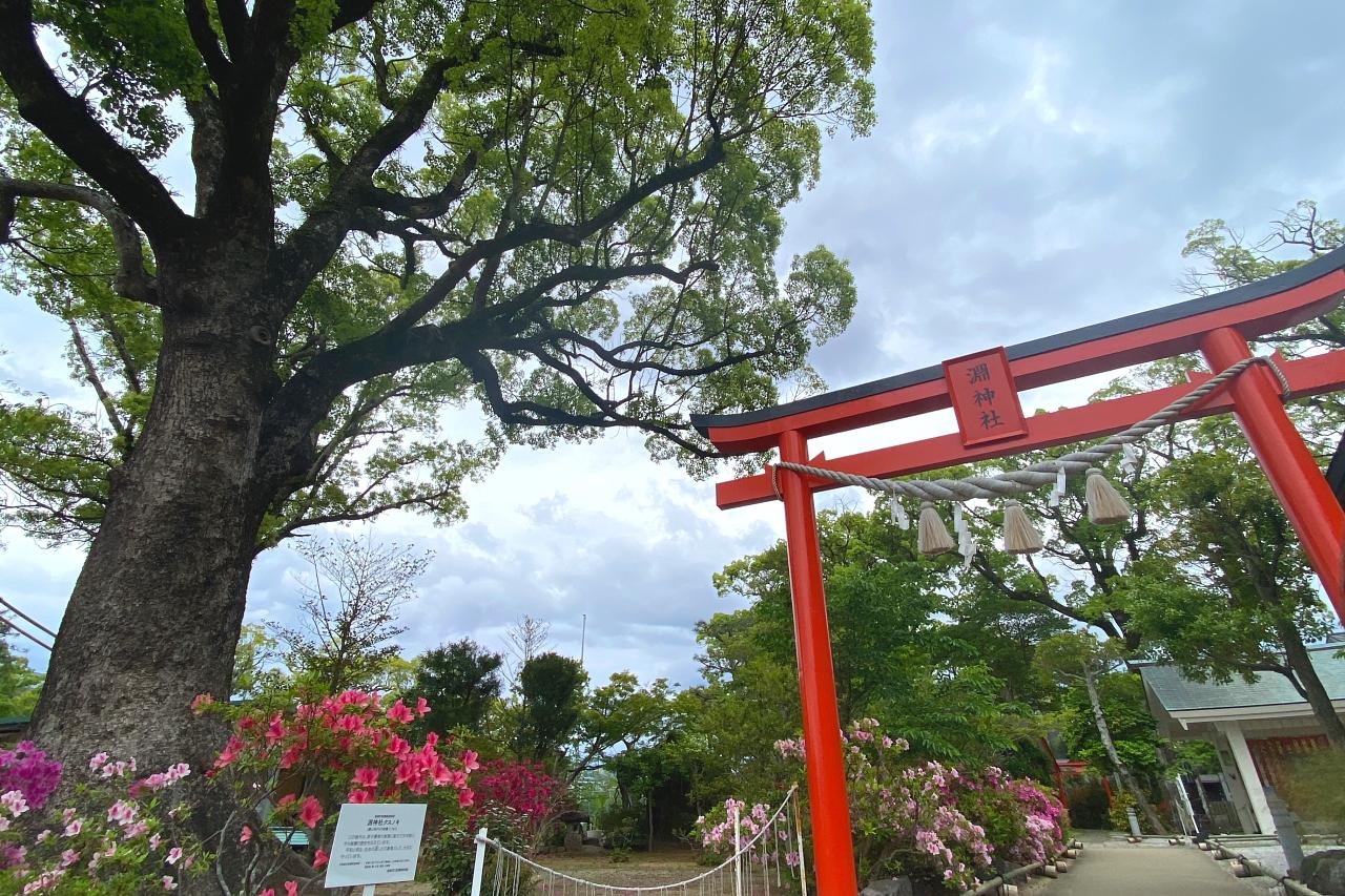 稲佐山へのアクセス①　ロープウェイ　【淵神社駅～稲佐岳駅】-3
