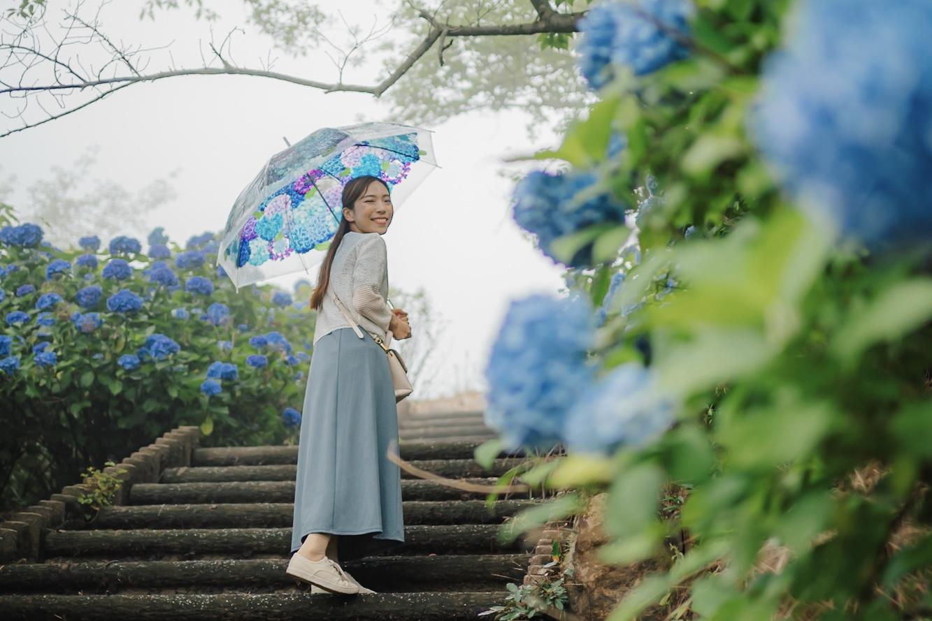 撮影のコツは紫陽花を手前に-0