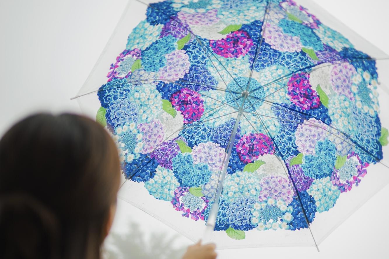 アジサイ柄の傘が無料レンタルできるのはフォトコンテスト期間中だけ！-0