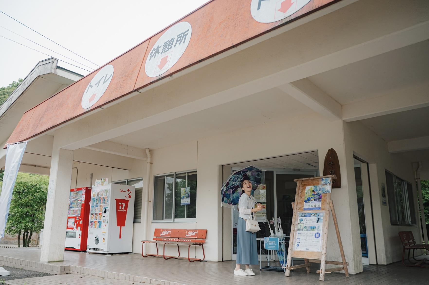 アジサイ柄の傘が無料レンタルできるのはフォトコンテスト期間中だけ！-1