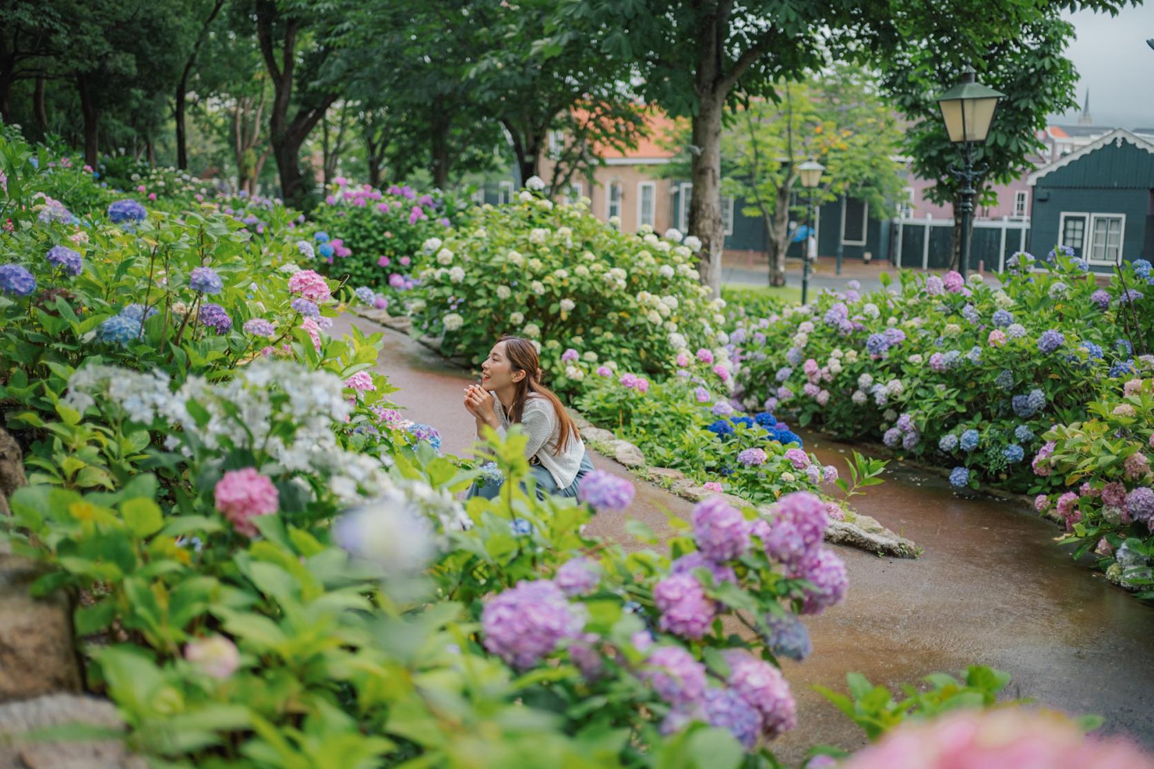 【おすすめアジサイスポット①】ハウステンボスの無料ゾーンに広がるアジサイの道-0