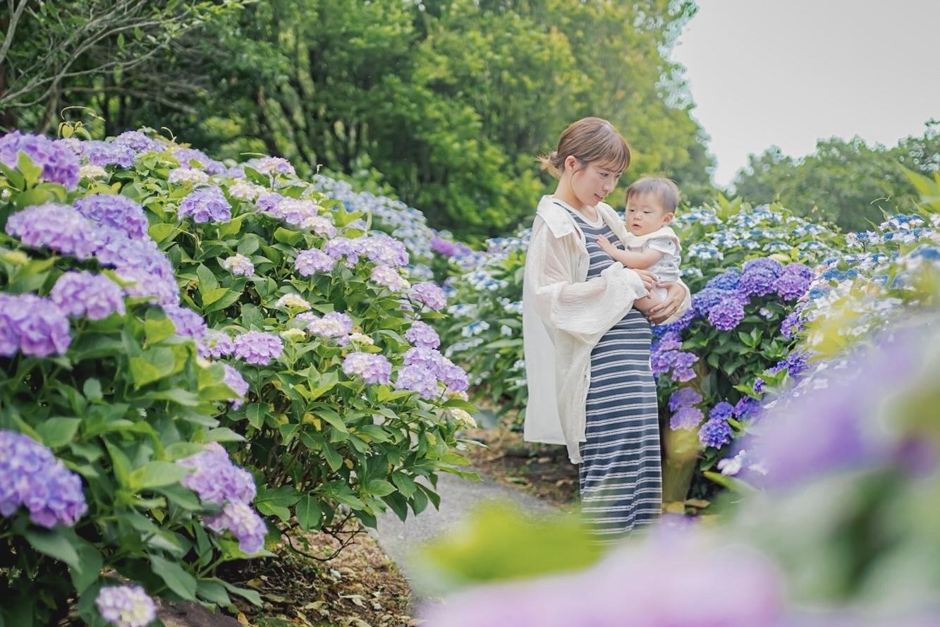 【おすすめアジサイスポット②】えぼしスポーツの里「あじさいまつり」もチェック！-2