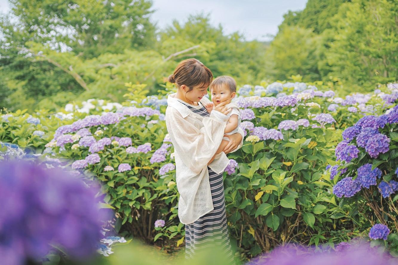 【おすすめアジサイスポット②】えぼしスポーツの里「あじさいまつり」もチェック！-0
