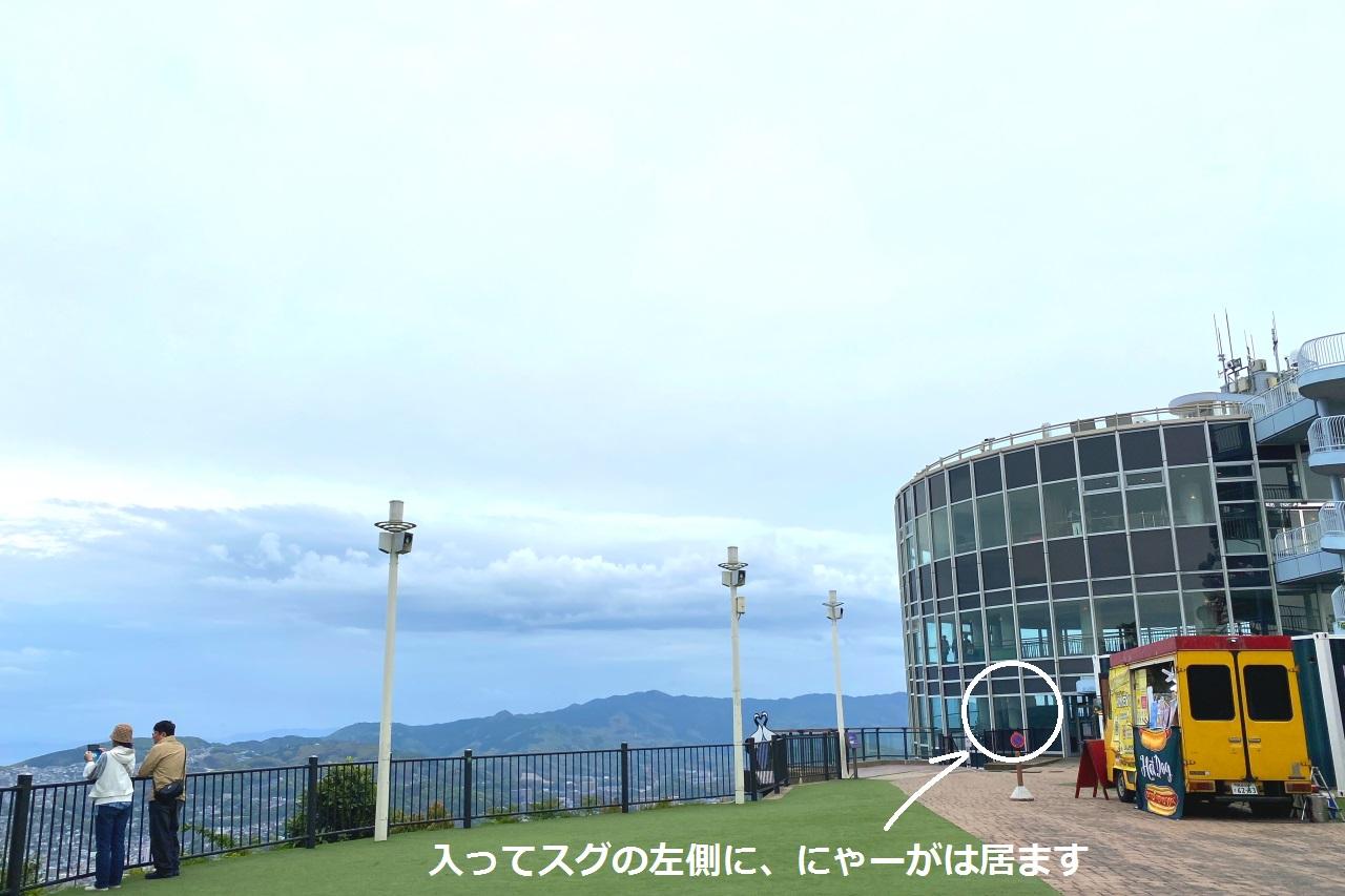 シロにゃーがは、稲佐山山頂展望台入口でお出迎えにゃん！-1