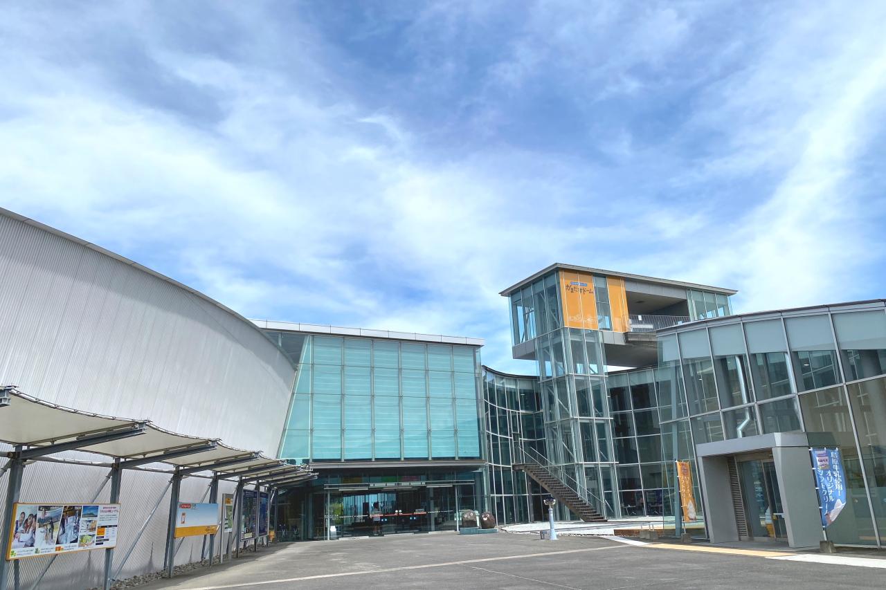 サバトラの「にゃーが」はがまだすドームに！-0