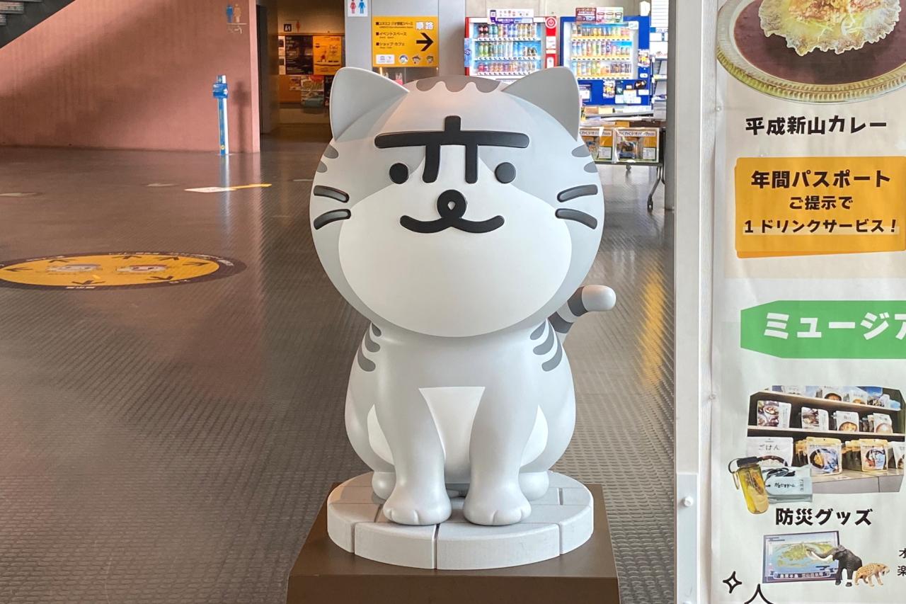 入口で「サバトラにゃーが」がお出迎えにゃん-2