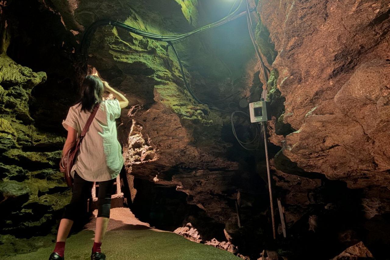 腰をかがめて進み、探検気分を味わおう！-2