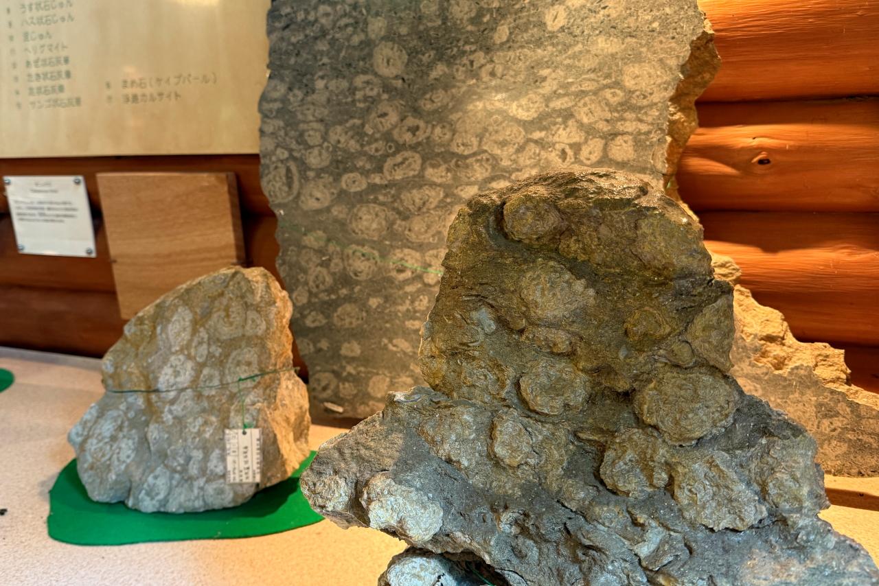 洞窟探検の後には　【七ツ釜鍾乳洞資料館】-1