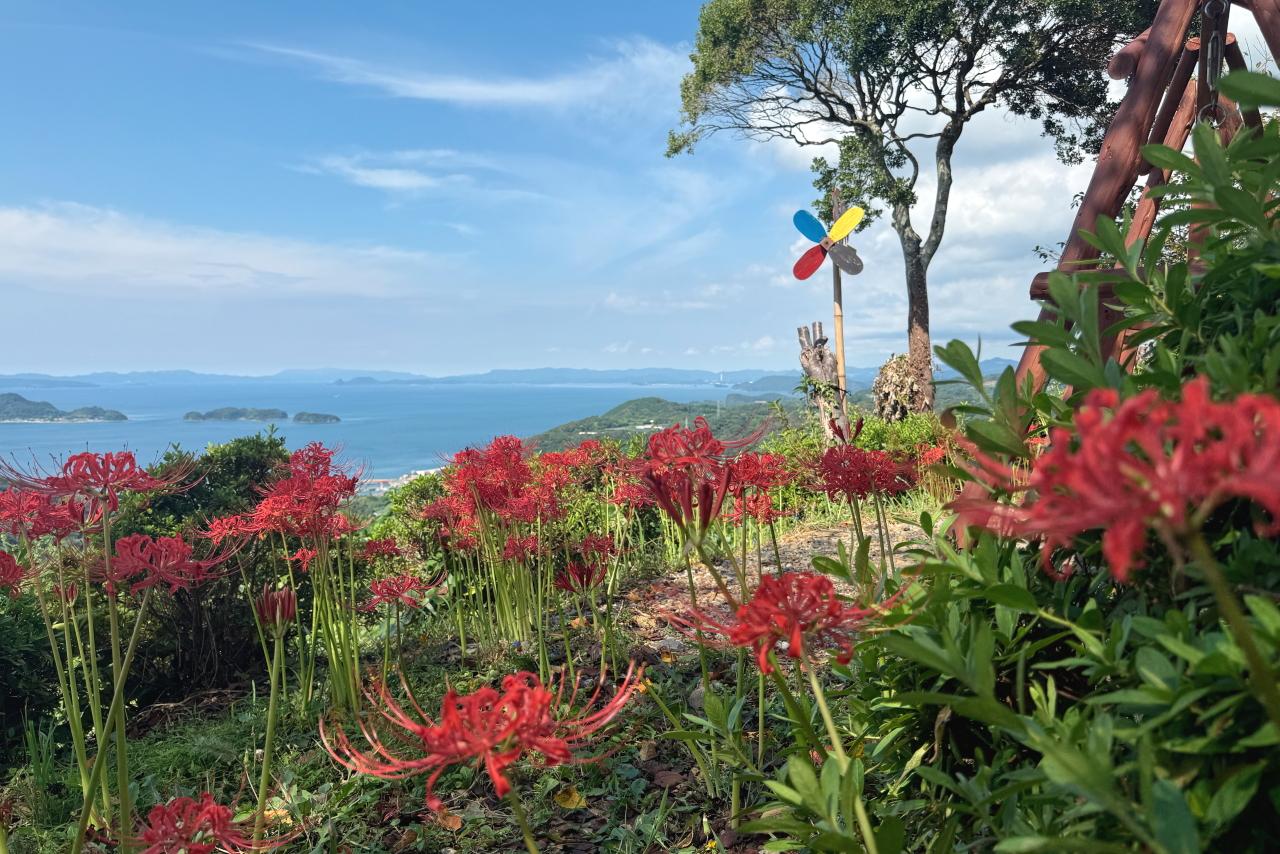 地元の有志で整備した絶景スポット　【長尾城跡展望所】-2