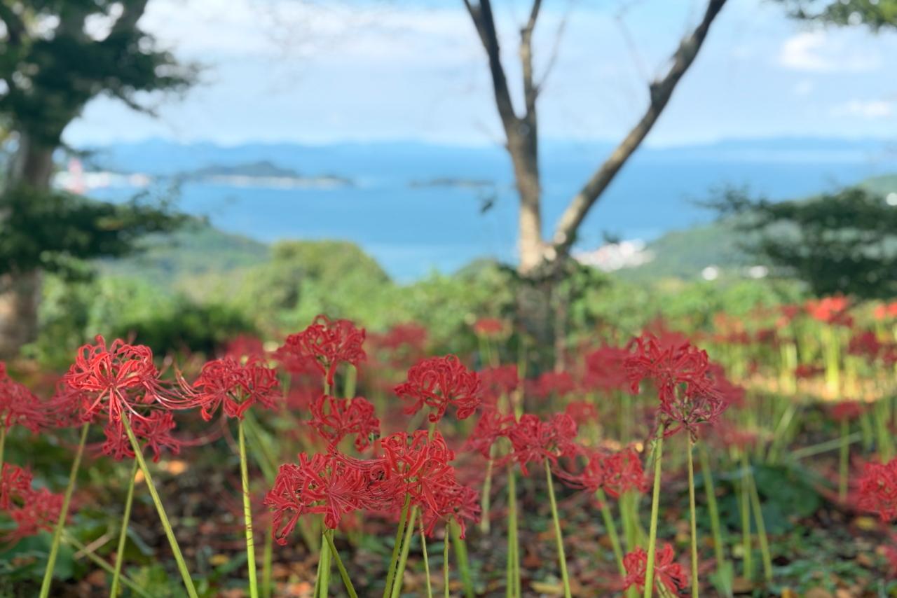 地元の有志で整備した絶景スポット　【長尾城跡展望所】-0