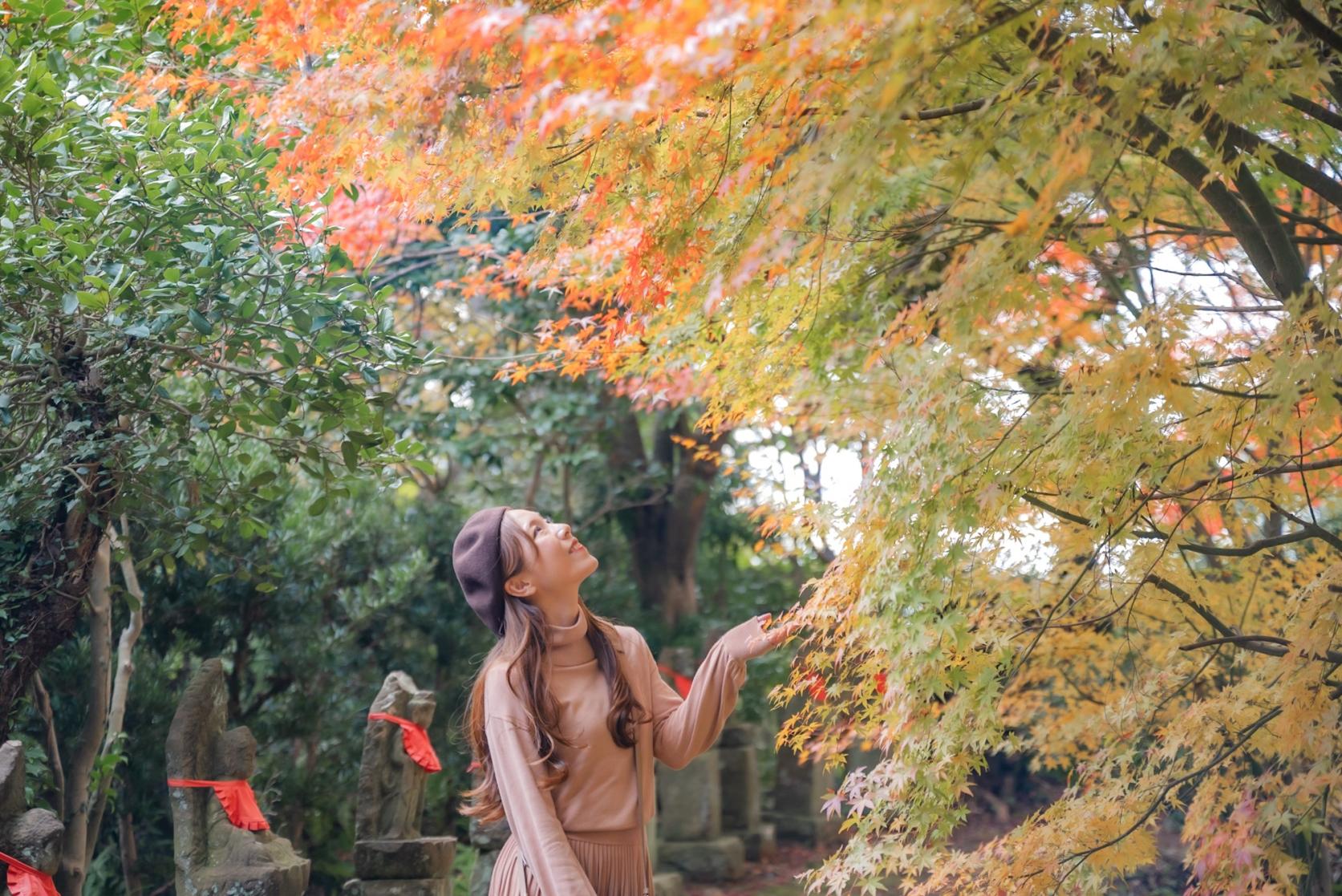 【浄漸寺】知る人ぞ知る“もみじ寺”-1