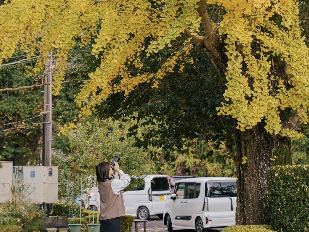 【寿福寺】逆さ紅葉が楽しめる-1