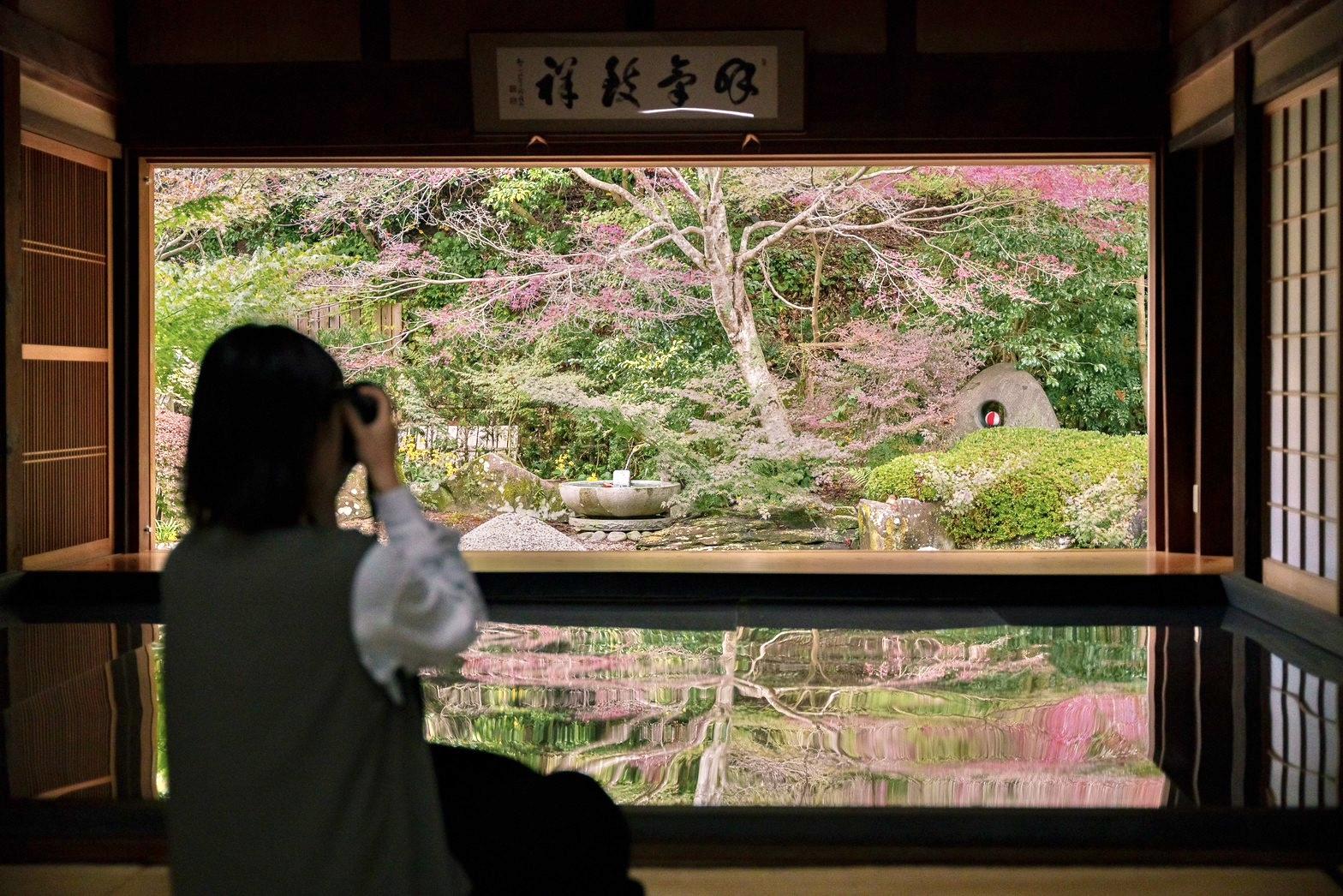 【寿福寺】逆さ紅葉が楽しめる-0