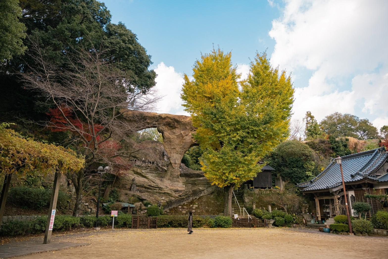 【眼鏡岩】地元民でも知らない！ハート形の銀杏が楽しめるスポット-0