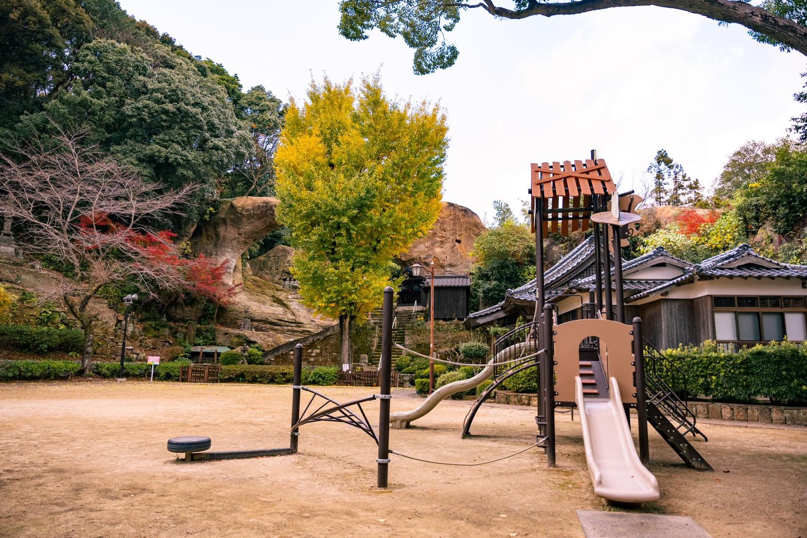 【眼鏡岩】地元民でも知らない！ハート形の銀杏が楽しめるスポット-2