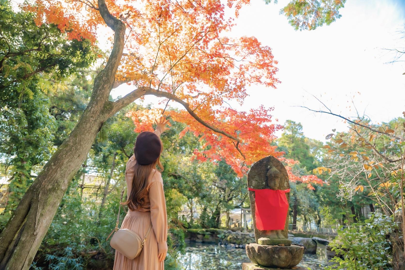 【東嶽山 西光寺】庭園の散歩と紅葉が楽しめる-2