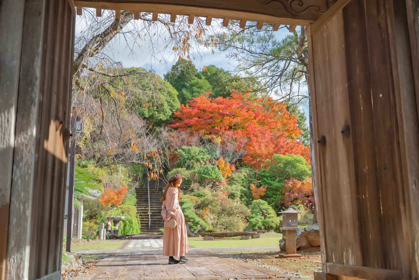 【東嶽山 西光寺】庭園の散歩と紅葉が楽しめる-0
