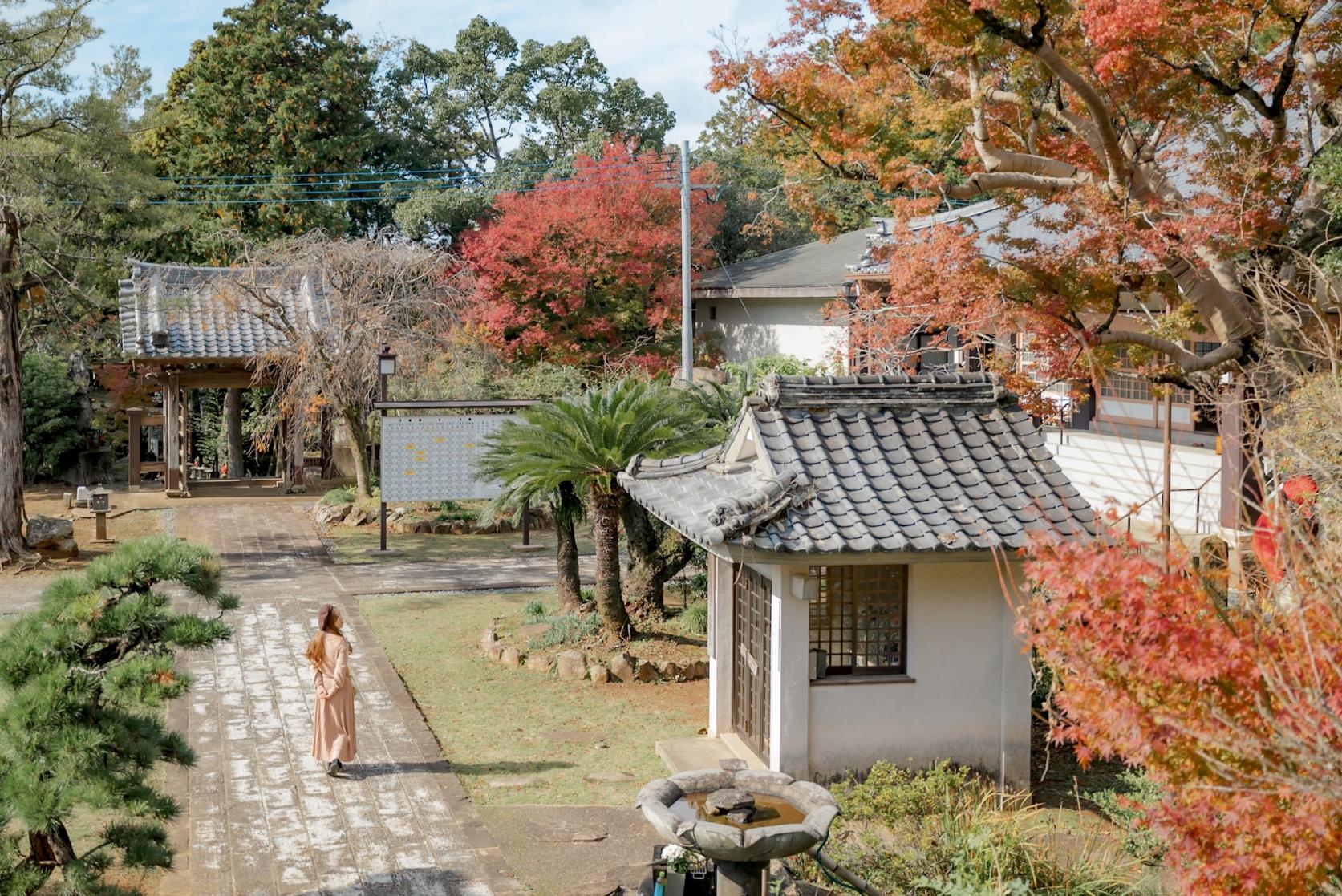【東嶽山 西光寺】庭園の散歩と紅葉が楽しめる-3