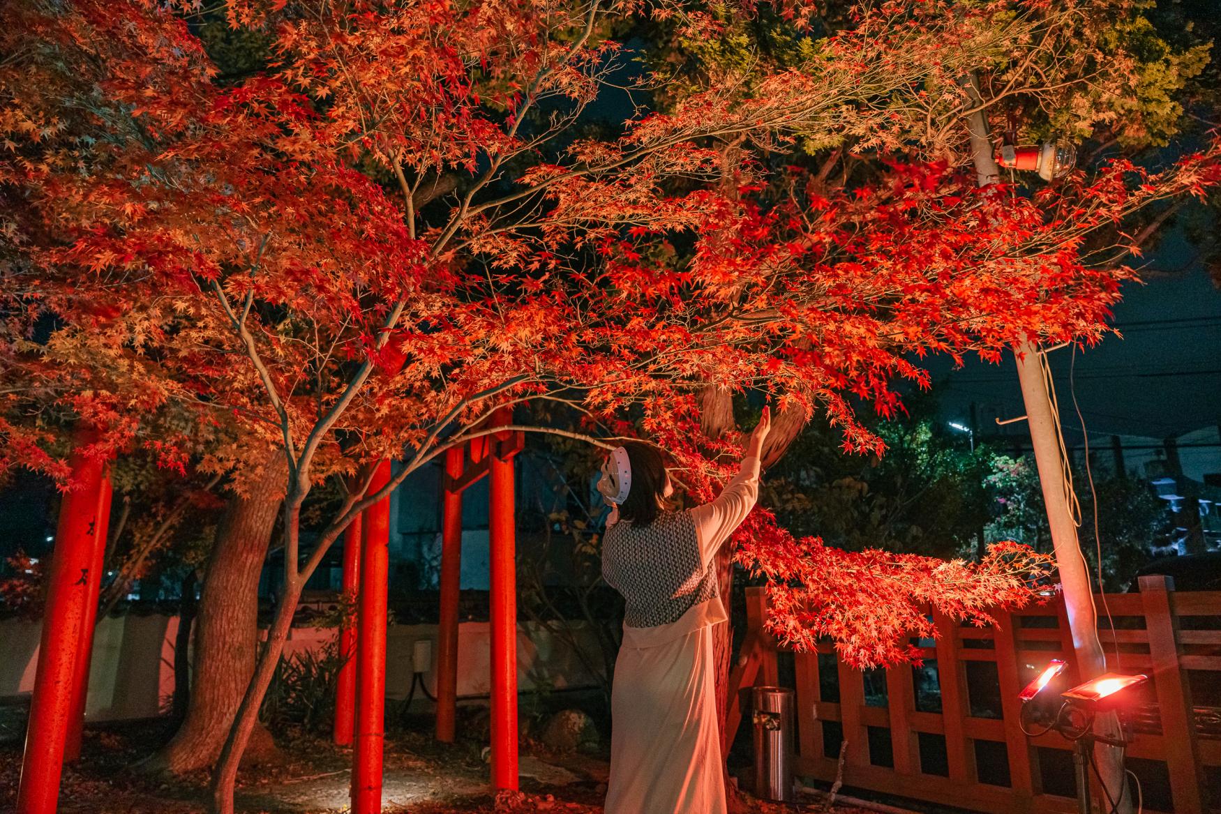 【祝詞神社】赤い鳥居と紅葉が織りなす幻想的な風景-3