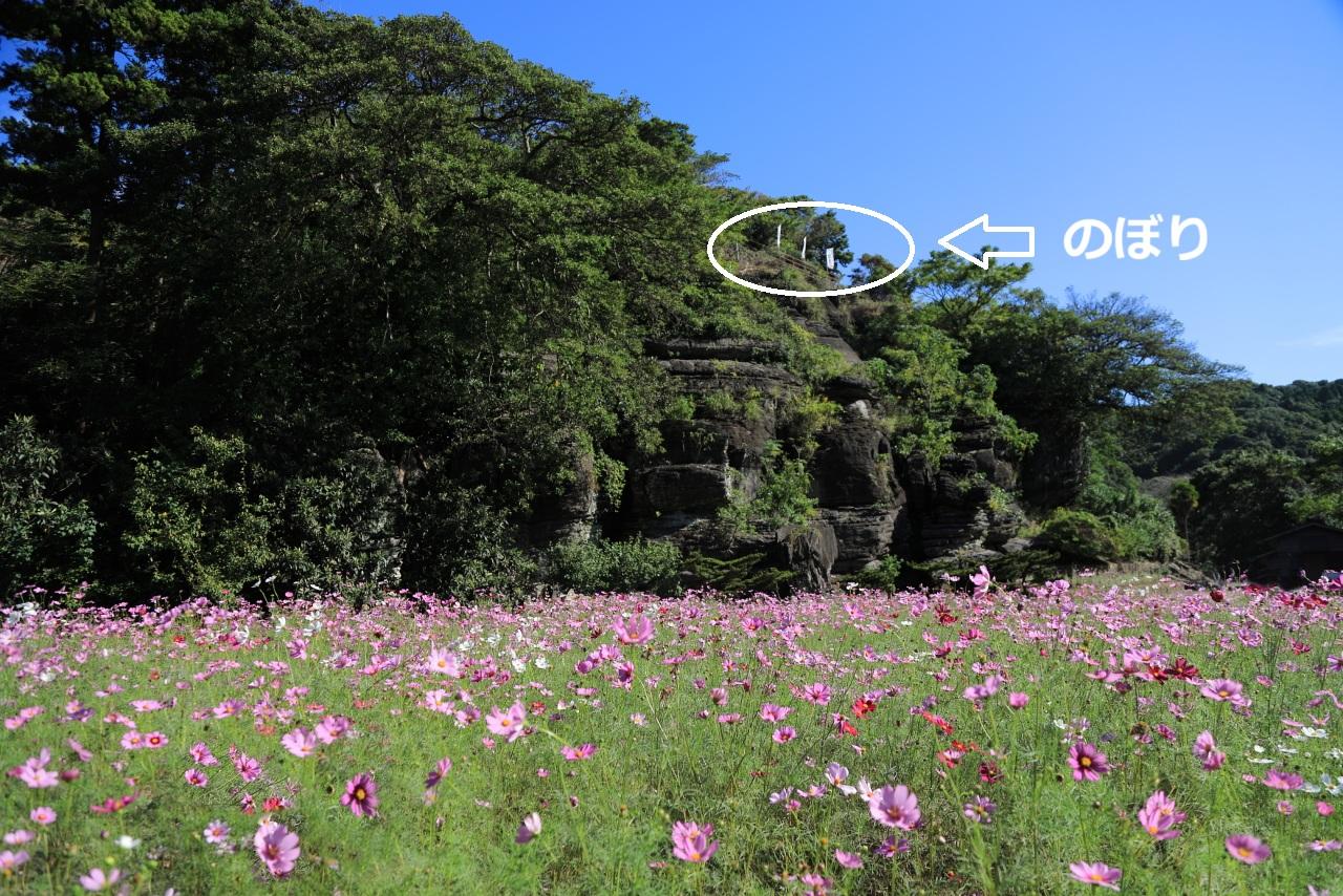 「化石の森」は小高い丘の上にあります-0