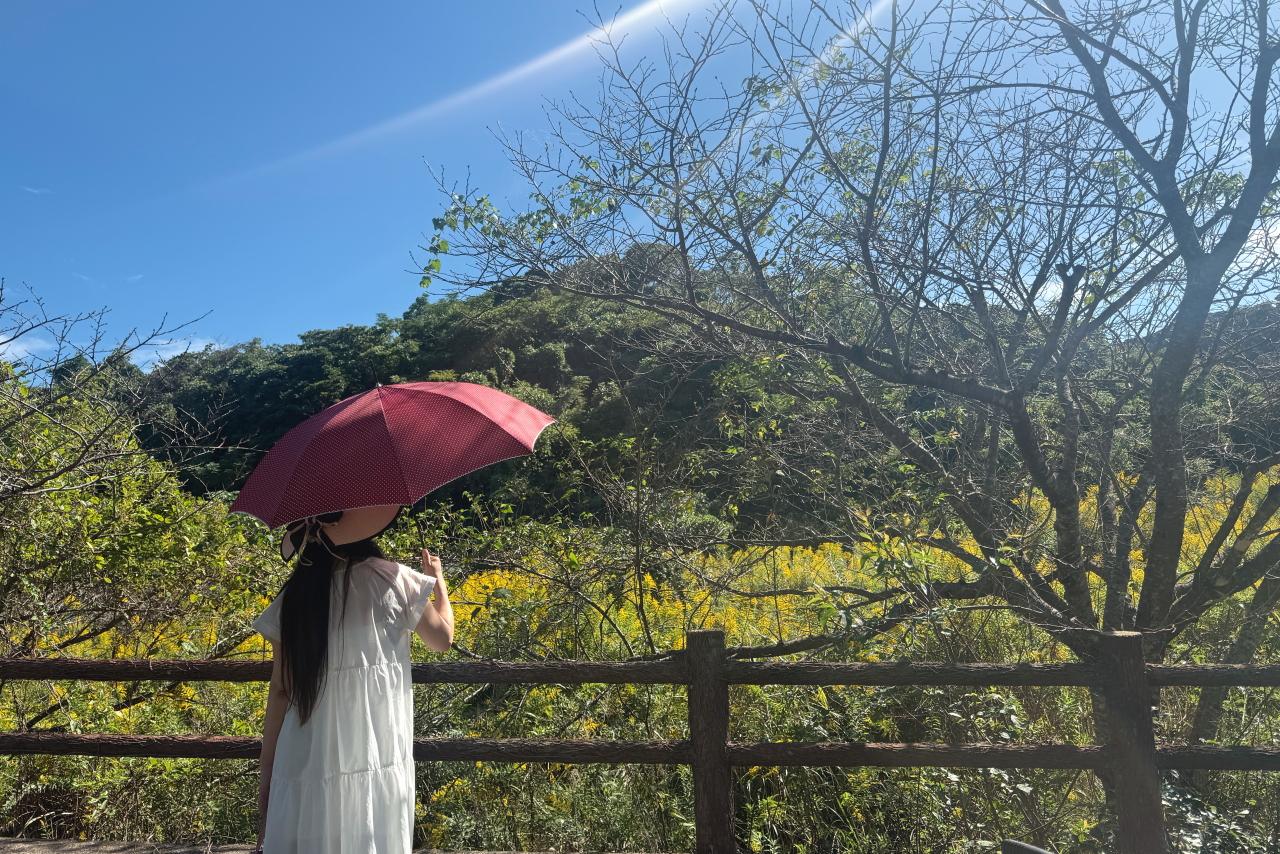 到着までの風景も楽しもう！-3