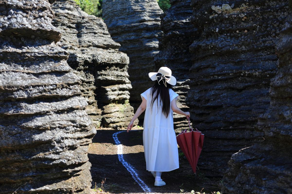 ついに到着！想像以上の異世界感　「化石の森」-1