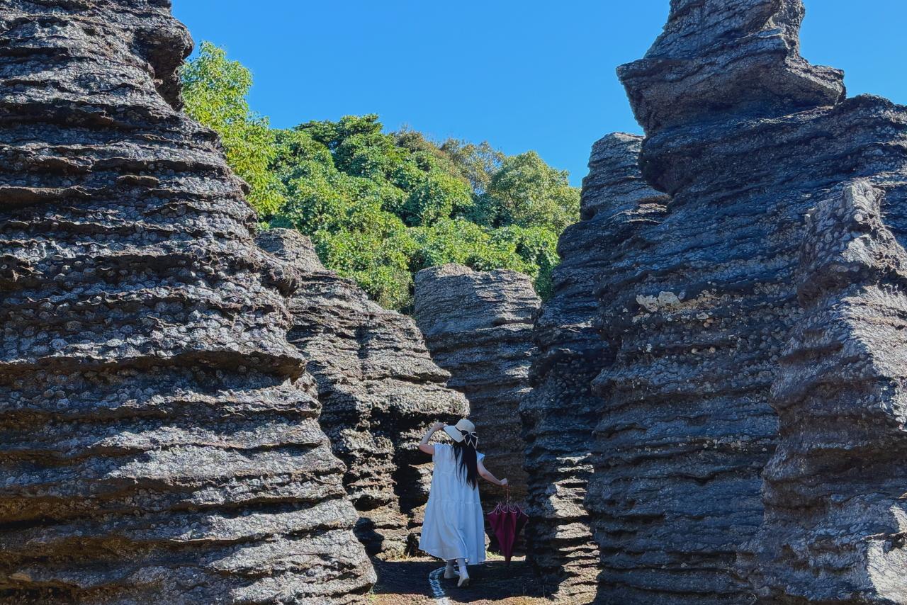 ついに到着！想像以上の異世界感　「化石の森」-0