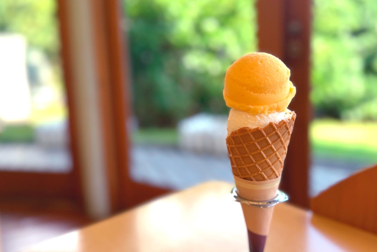 道の駅さいかい　みかんドーム-2