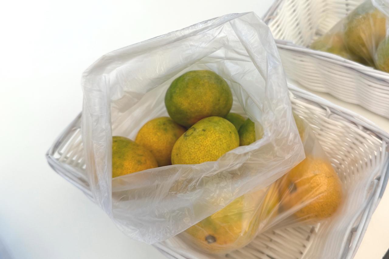 「生搾りみかんジュース」に挑戦！-0