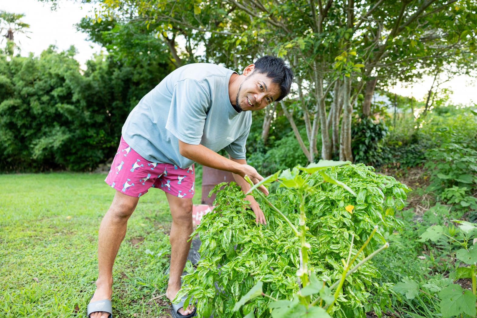 ミニ農園でバジルを収穫！-1
