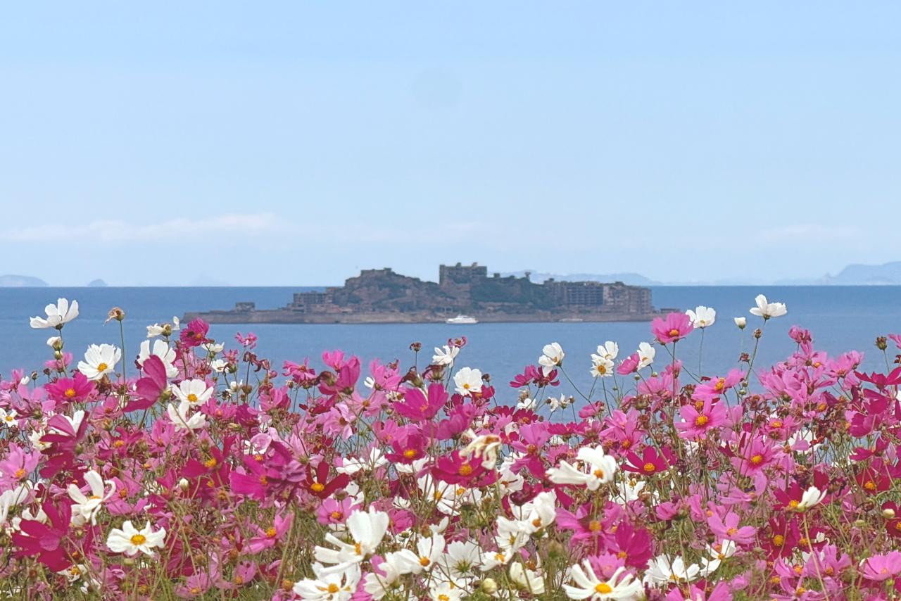 「一島一家の畑」とは？-0