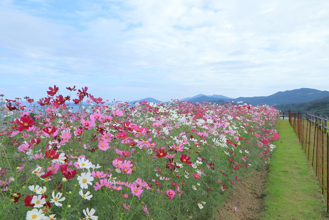 ドラマにちなんだ「入坑札」もあります-2
