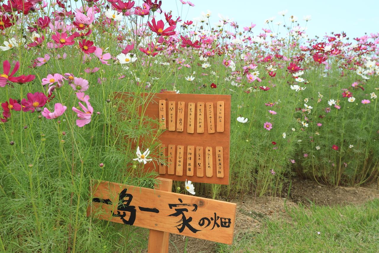 ドラマにちなんだ「入坑札」もあります-0