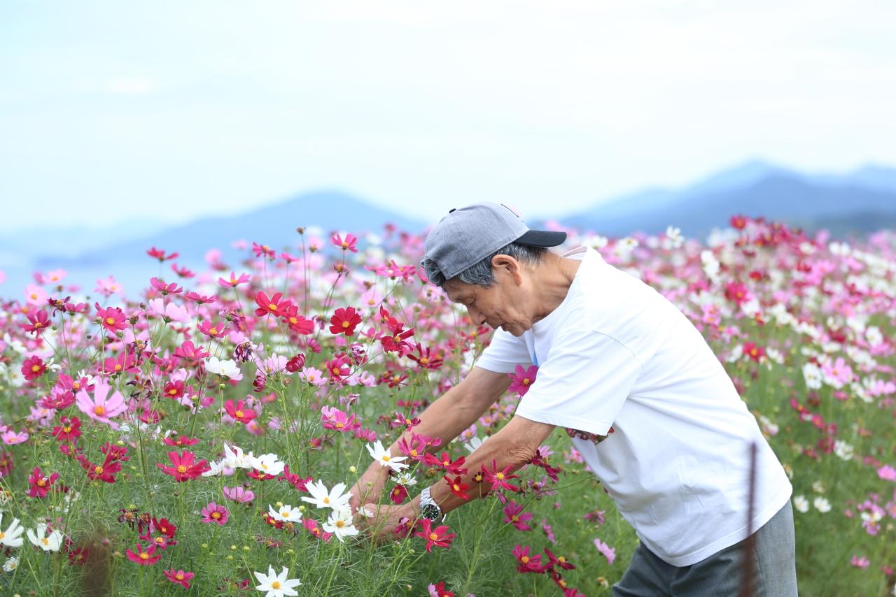 現役の寿司職人　「タイチ寿司」の木本太市さん-1