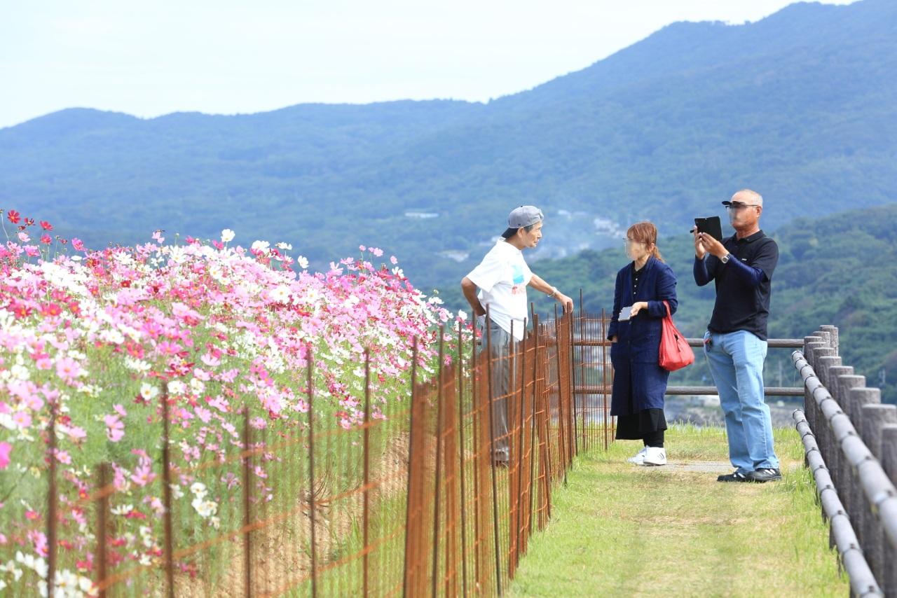 タイチさんのお話、最高です！-1