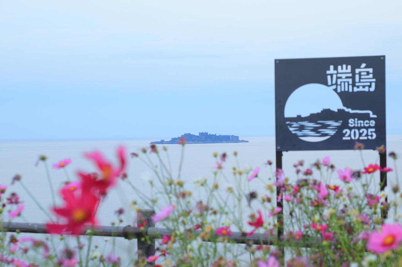 長崎の新名所、一島一家のコスモス畑-0