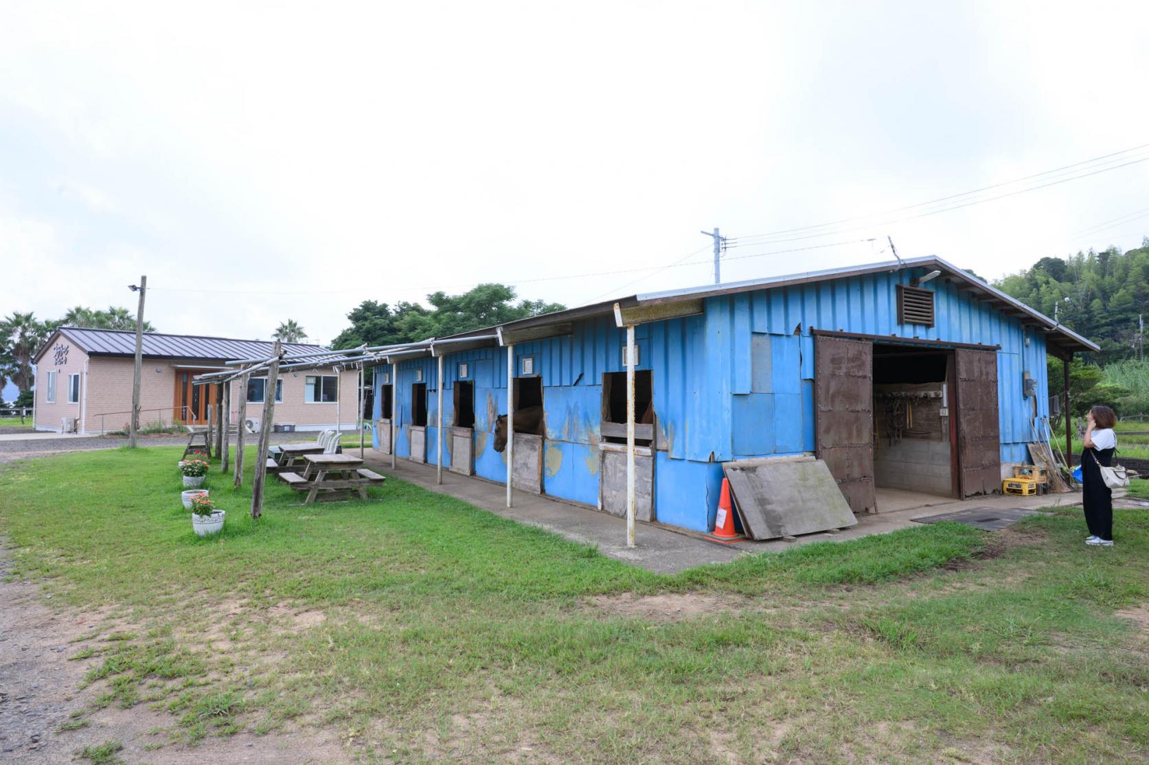 シービューランチってどんなところ？-1