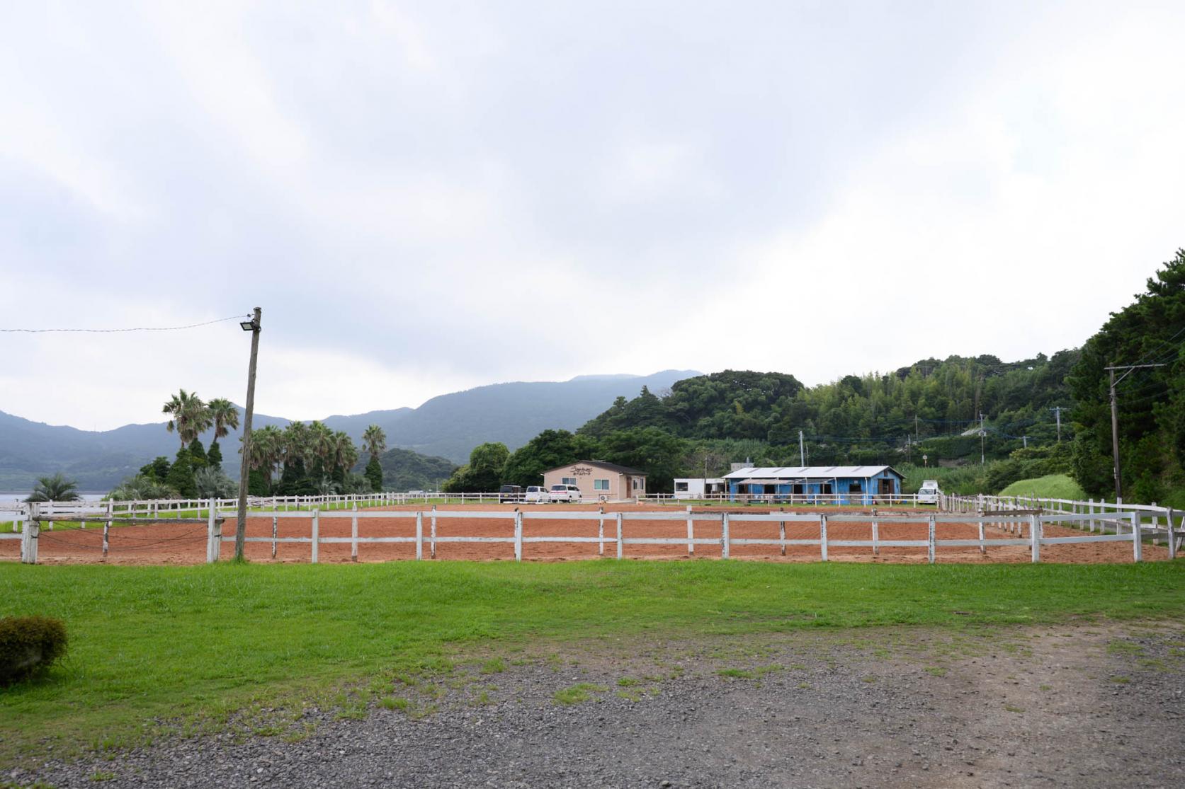 シービューランチってどんなところ？-0