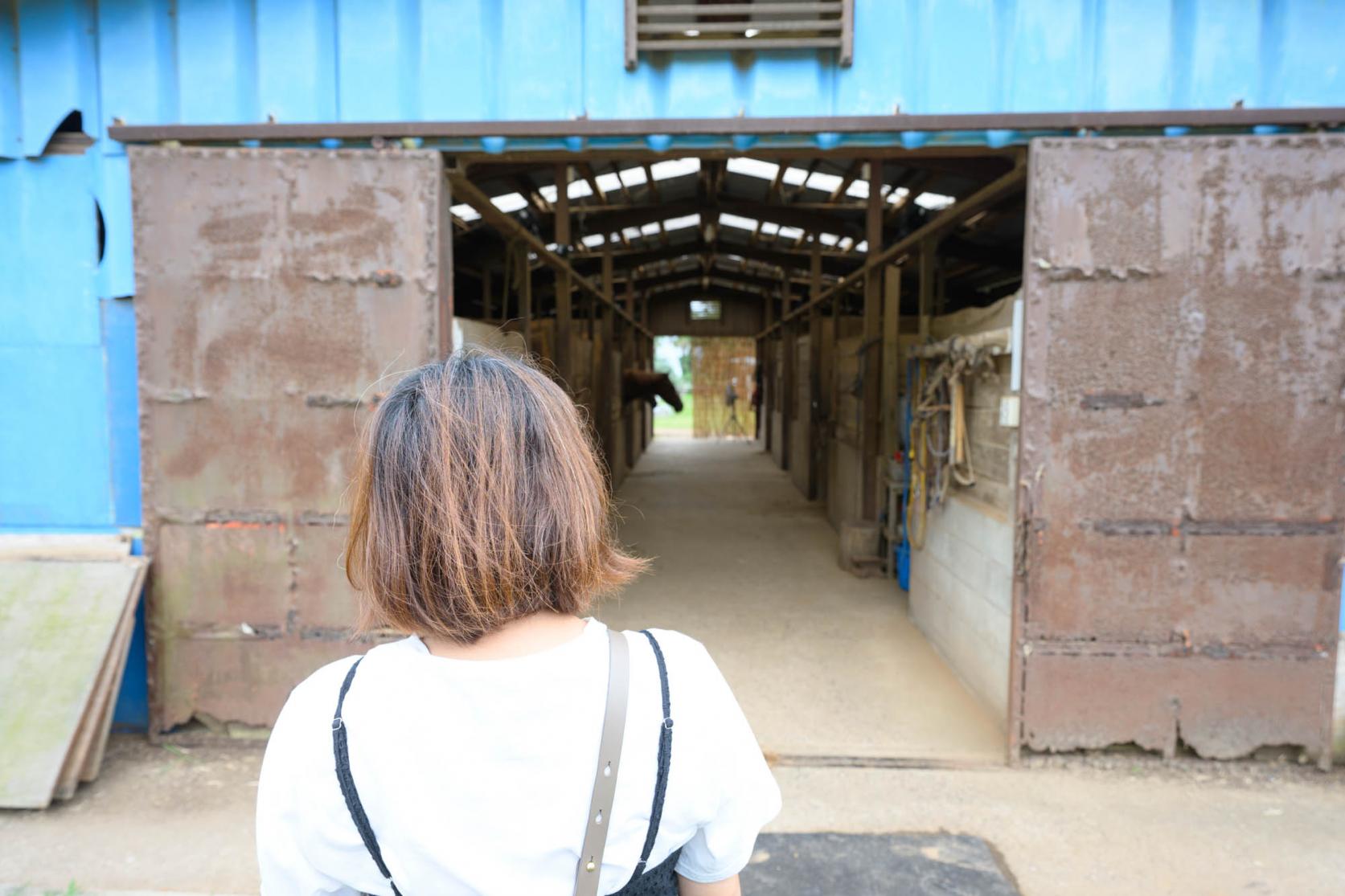 「乗馬教室+ビーチコース」で乗馬初体験！-2