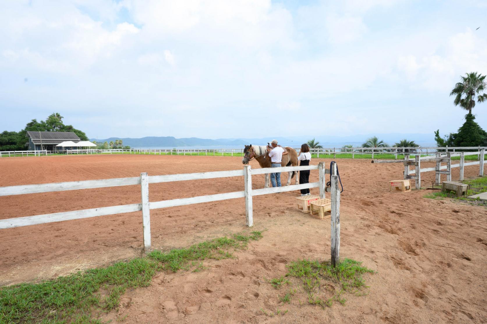 「乗馬教室+ビーチコース」で乗馬初体験！-0