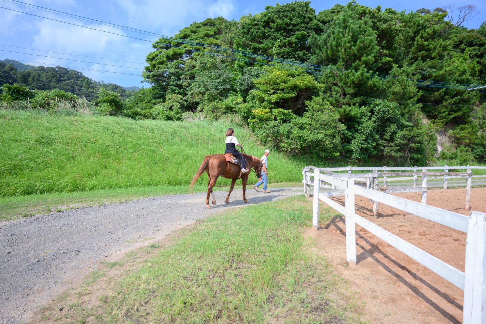 馬に乗ってビーチへ移動！-0