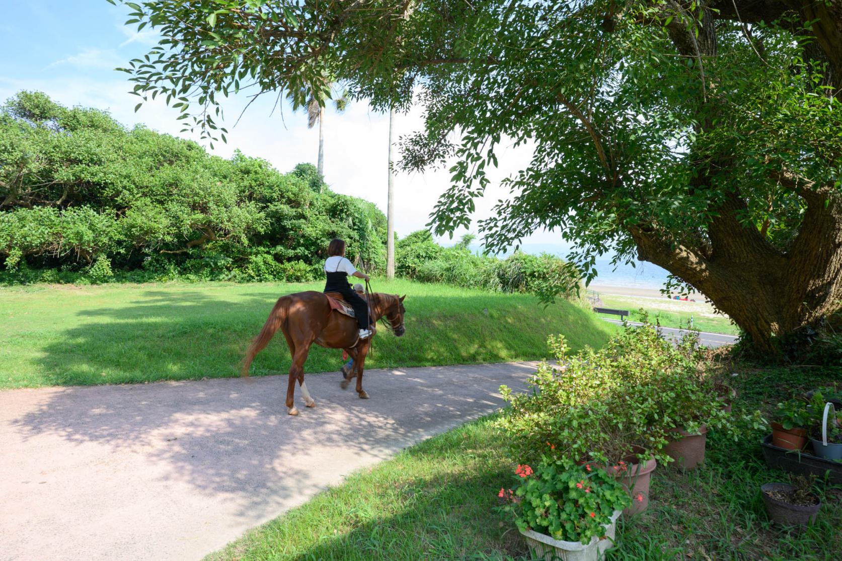 馬に乗ってビーチへ移動！-2