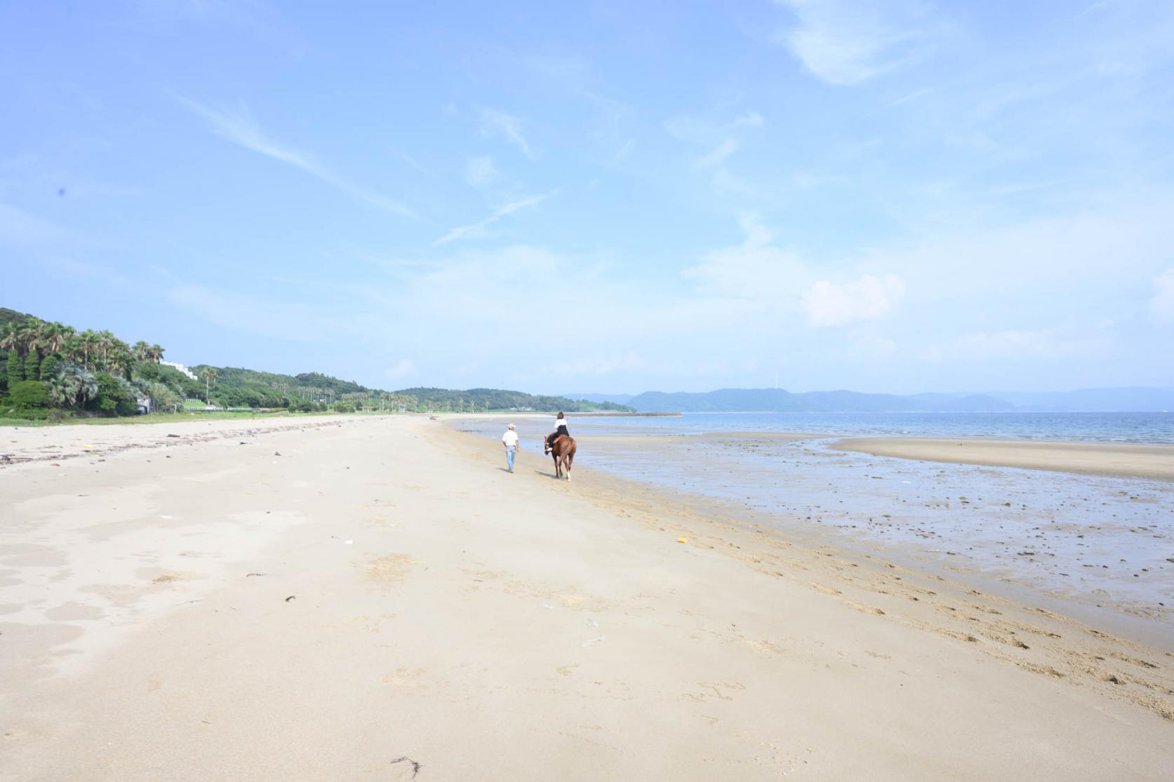 ビーチでの乗馬は最高に気持ちいい♪-2