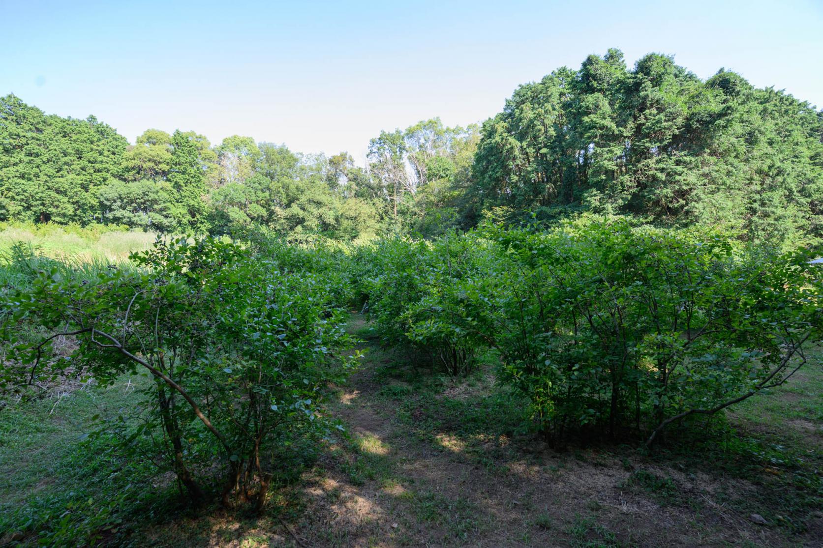 事前準備のポイント-0